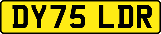 DY75LDR