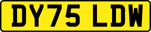 DY75LDW