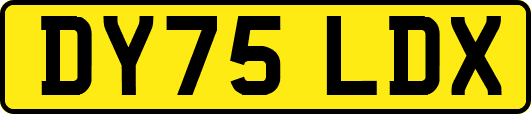 DY75LDX