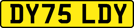 DY75LDY