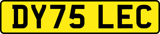 DY75LEC