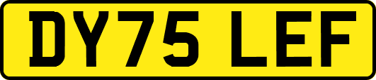 DY75LEF