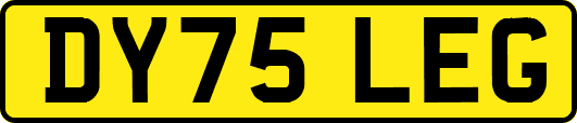 DY75LEG