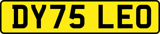 DY75LEO
