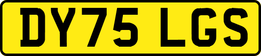 DY75LGS