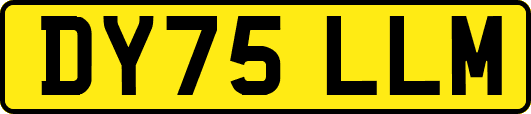 DY75LLM
