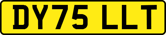 DY75LLT