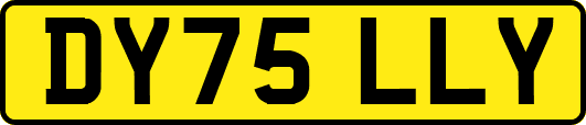DY75LLY