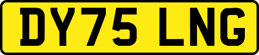 DY75LNG