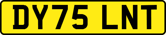 DY75LNT