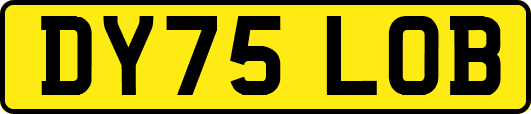 DY75LOB