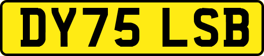 DY75LSB