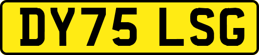 DY75LSG