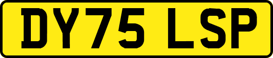DY75LSP
