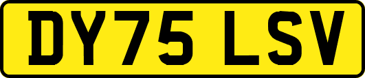 DY75LSV