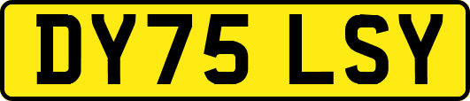 DY75LSY