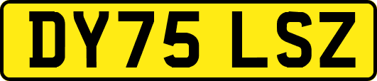 DY75LSZ