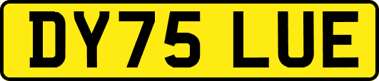 DY75LUE