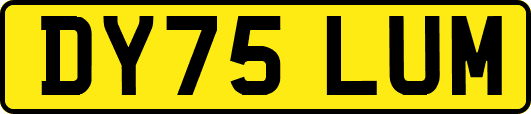 DY75LUM