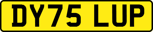 DY75LUP