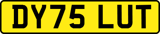 DY75LUT