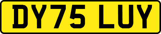 DY75LUY