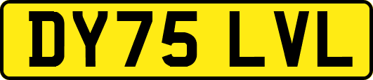DY75LVL