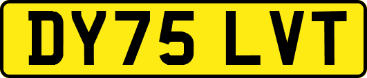 DY75LVT