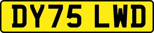 DY75LWD
