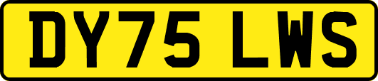 DY75LWS