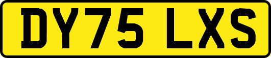 DY75LXS