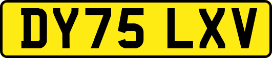 DY75LXV