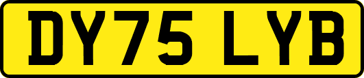 DY75LYB