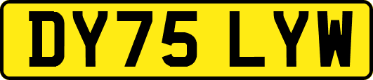 DY75LYW
