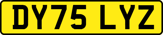 DY75LYZ