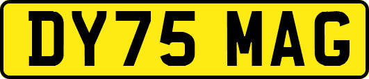 DY75MAG
