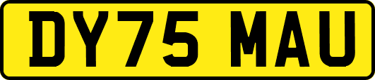 DY75MAU