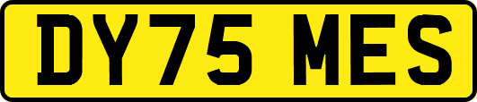 DY75MES
