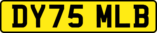 DY75MLB
