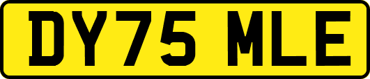 DY75MLE