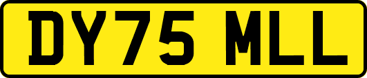 DY75MLL