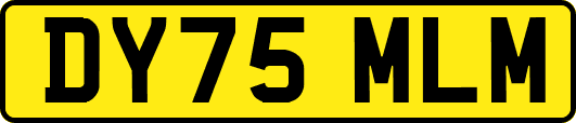 DY75MLM