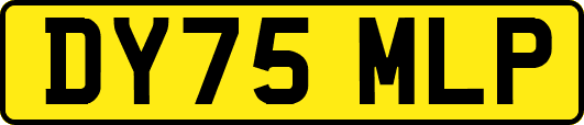 DY75MLP
