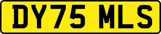 DY75MLS