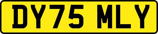 DY75MLY
