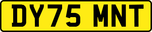 DY75MNT