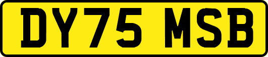 DY75MSB