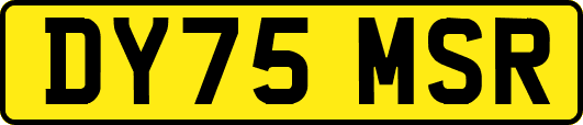 DY75MSR