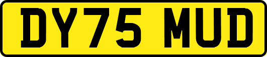 DY75MUD
