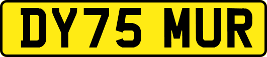 DY75MUR